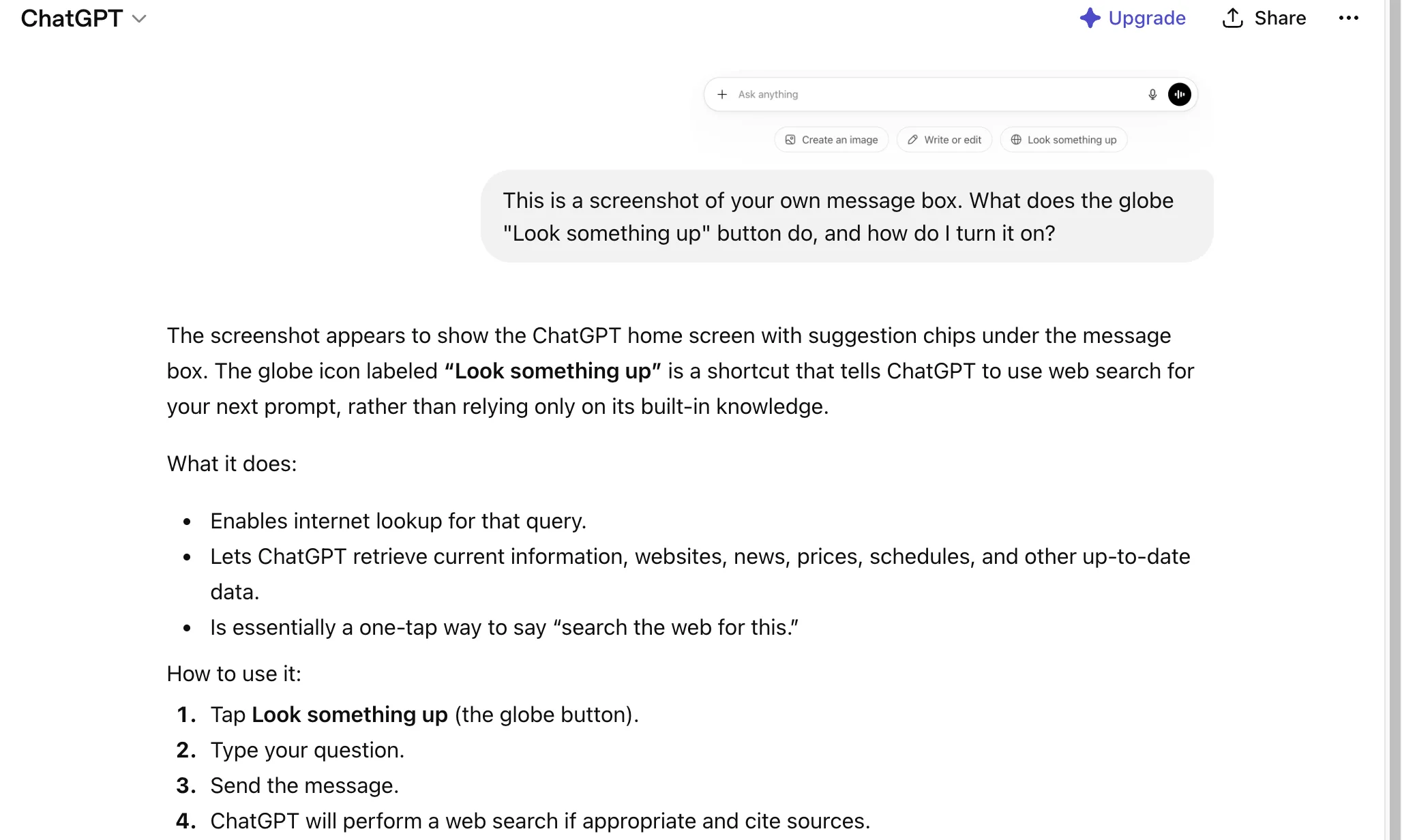 A ChatGPT chat with a screenshot of the AI's own message box pasted in, asking what the "Look something up" button does and how to turn it on, and ChatGPT naming the control and listing the steps.
